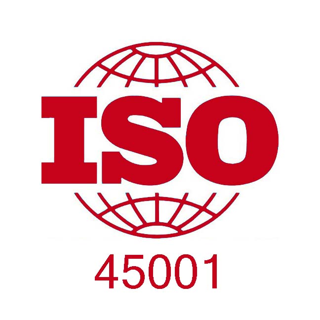 ISO 45001 Consultant
ISO 45001 Internal Audit
ISO 45001 Occupational Health and Safety Management System
Safety Management System
Health and Safety Management System